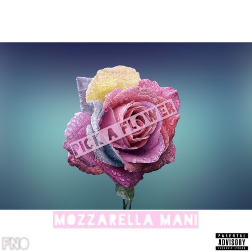 Mozzarella