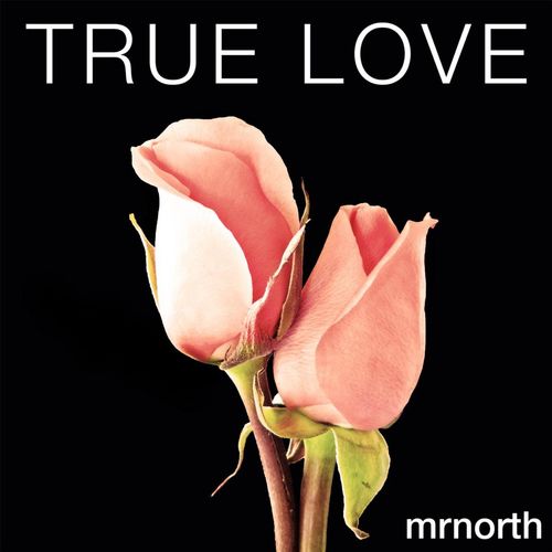 MrNorth