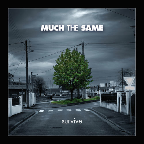 Much The Same