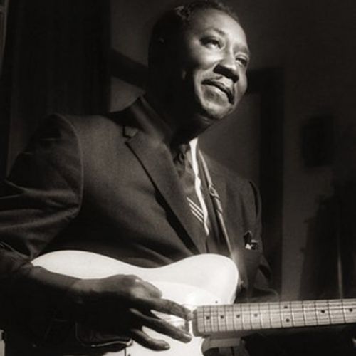 Muddy Waters