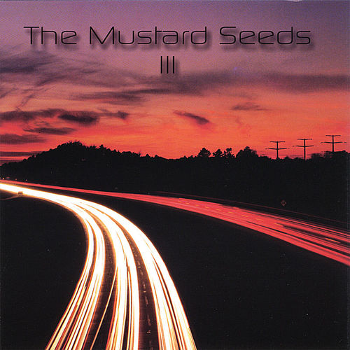 Mustard Seeds
