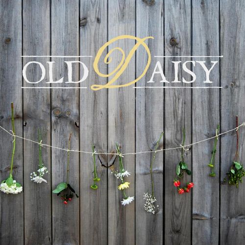 Old daisy