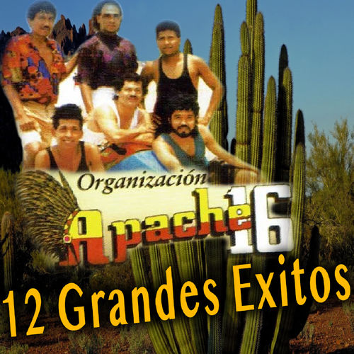 Organizacion Apache 16