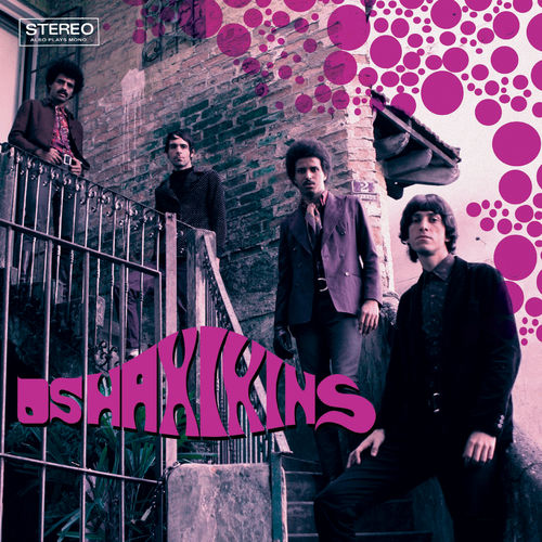 Os Haxixins