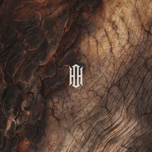 Our Hollow Our Home