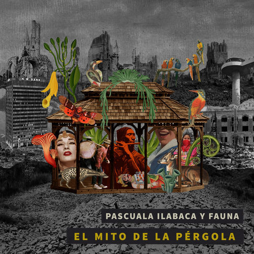 Pascuala Ilabaca