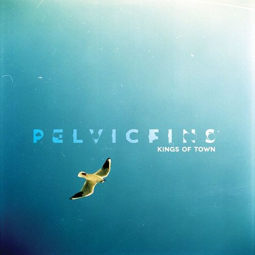 Pelvic Fins