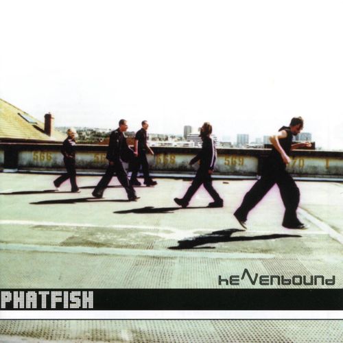 Phatfish