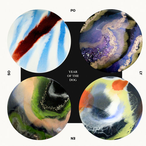 Polyenso