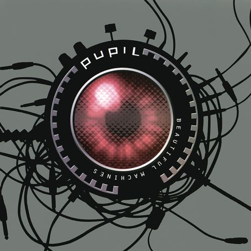 Pupil