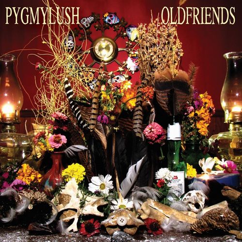 Pygmy Lush