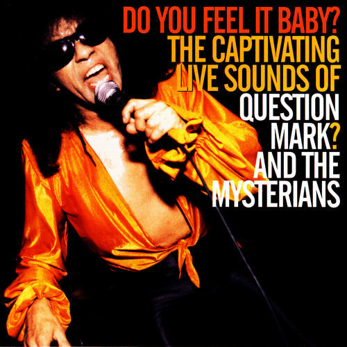 Question Mark And The Mysterians
