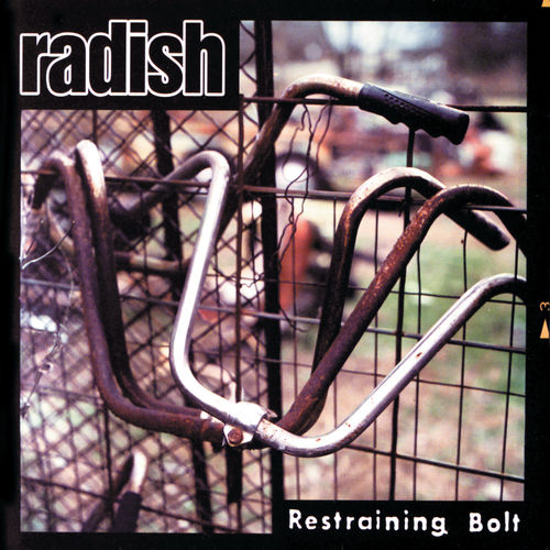 Radish