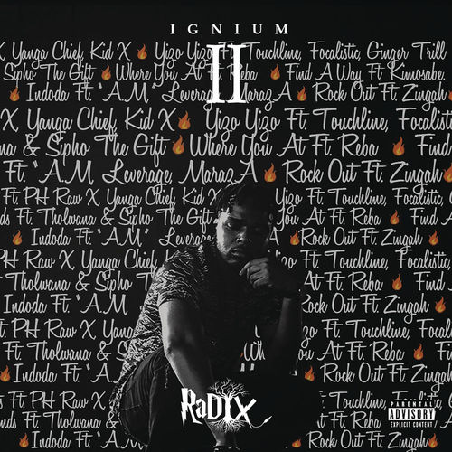 Radix