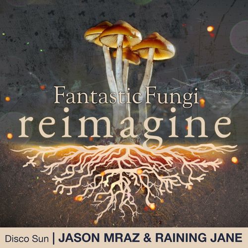 Raining Jane