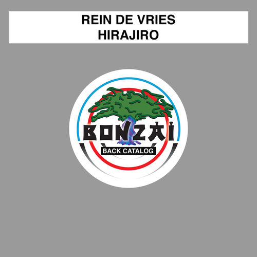 Rein de Vries