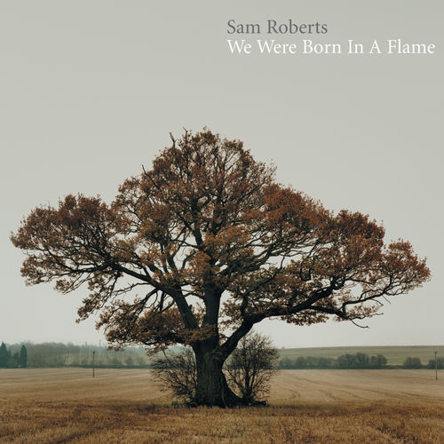 Sam Roberts