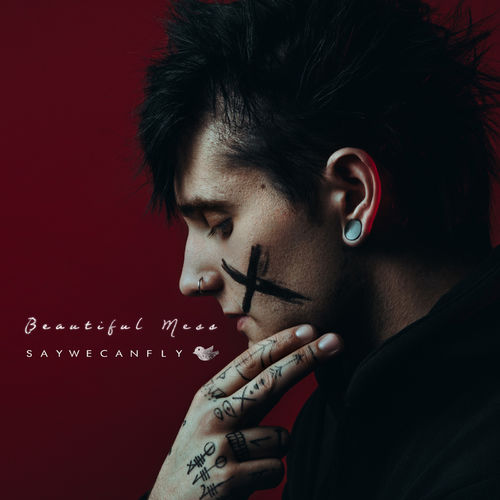 Saywecanfly