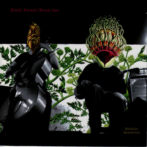 Sean Forrest