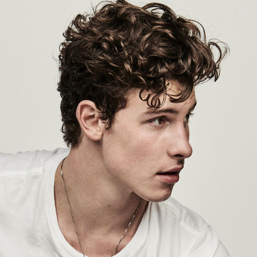Shawn Mendes
