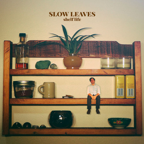 Slow Leaves