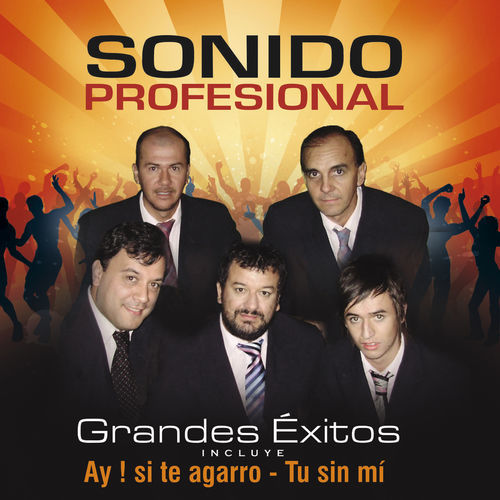 Sonido Profesional