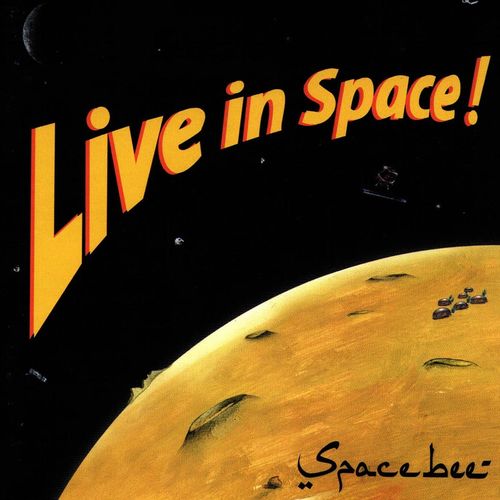 Space Bee