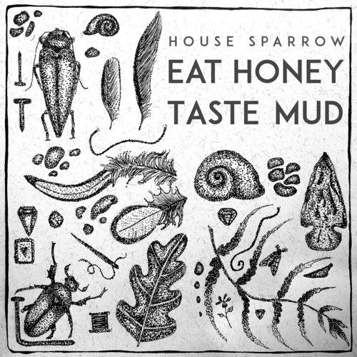 Sparrow House