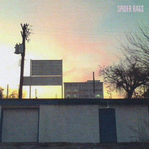 Spider Bags