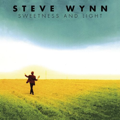 Steve Wynn