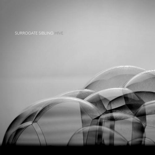 Surrogate
