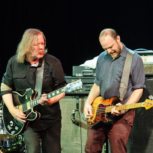 Swans