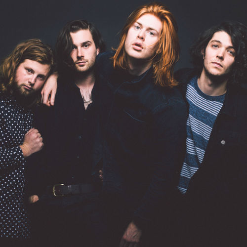 The Amazons