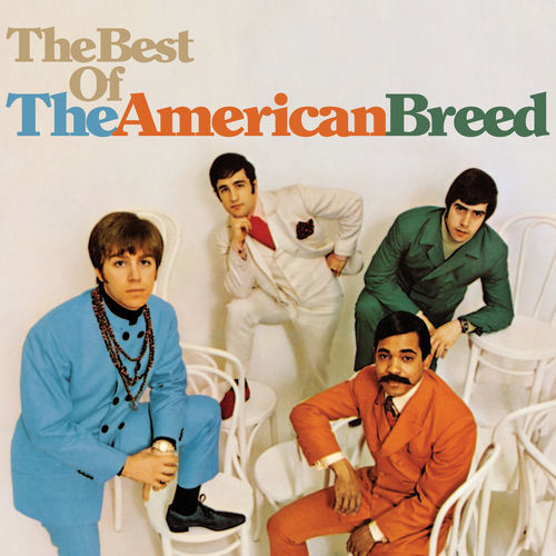 The American Breed