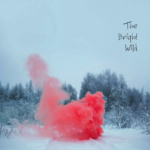The Bright Wild