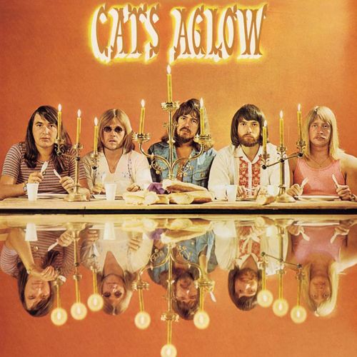 The Cats