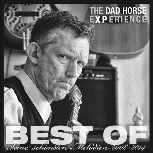 The Dad Horse Experience
