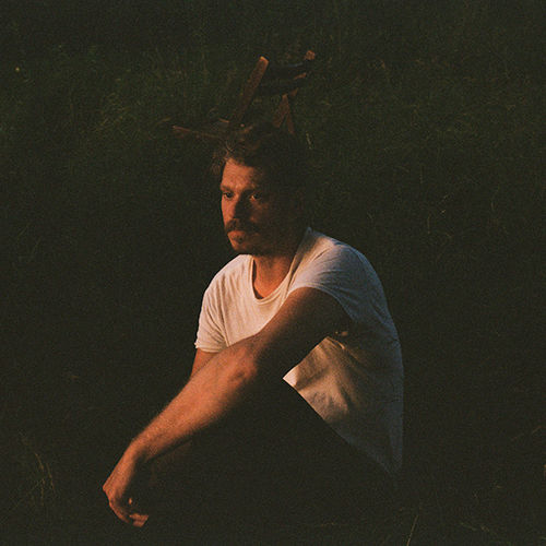 The Deep Dark Woods