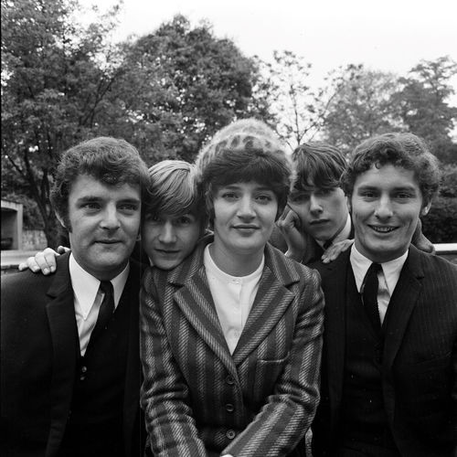 The Honeycombs