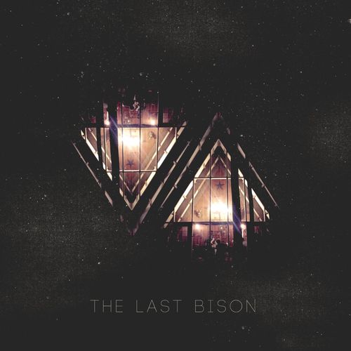 The Last Bison
