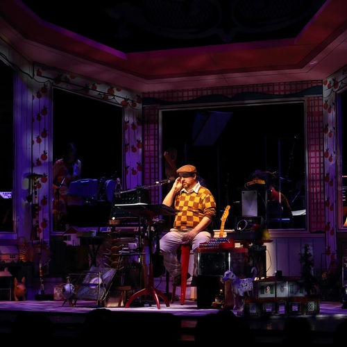 The Magnetic Fields