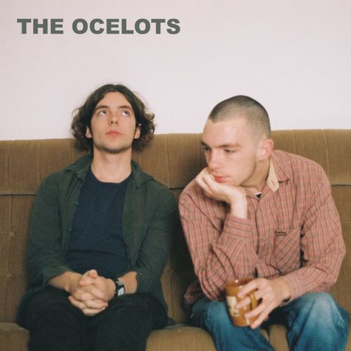 The Ocelots