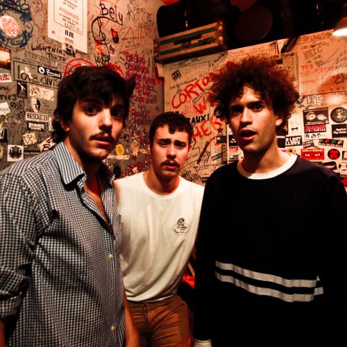 The Parrots
