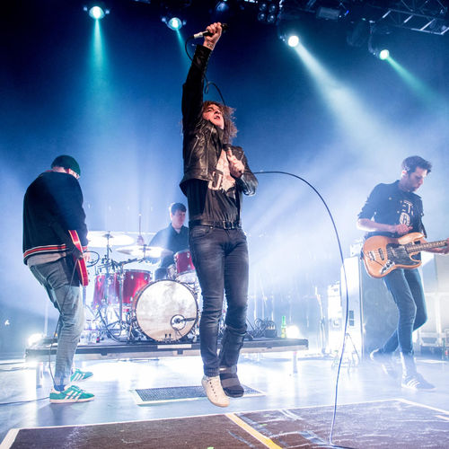 The Pigeon Detectives