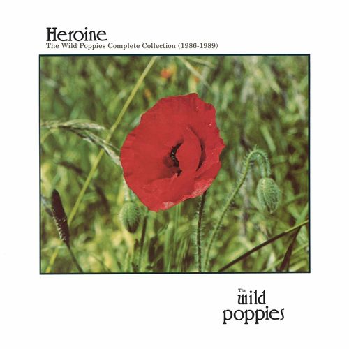 The Poppies
