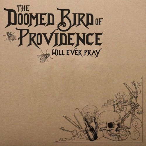 The Providence