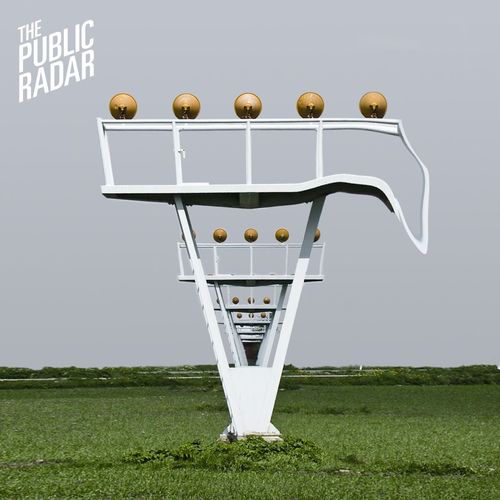 The Public