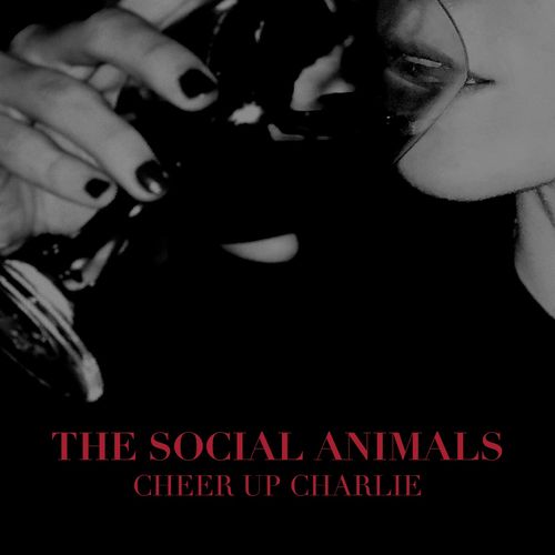 The Social Animals