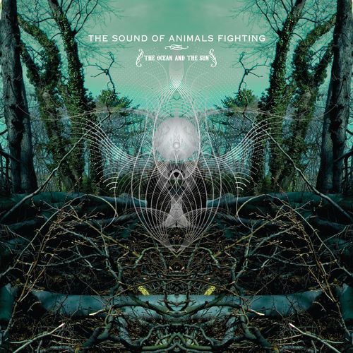 The Sound Of Animals Fighting