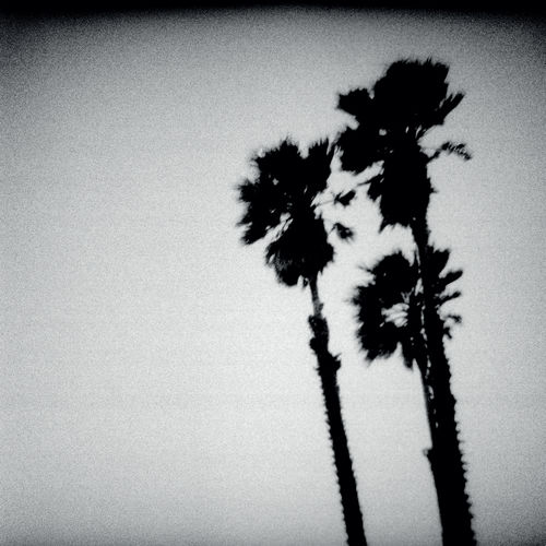 The Twilight Singers